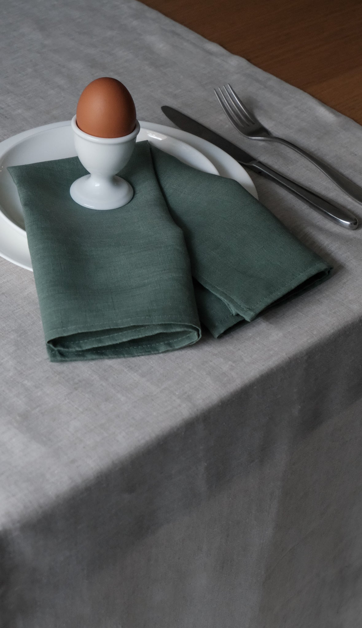 PRE-ORDER: Napkins (set of 2)