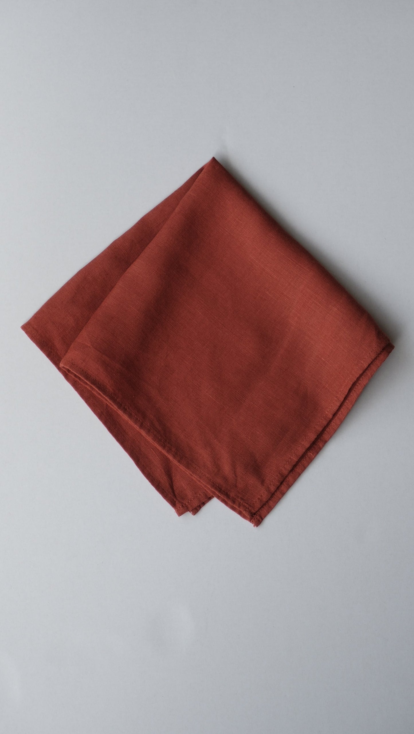 PRE-ORDER: Napkins (set of 2)